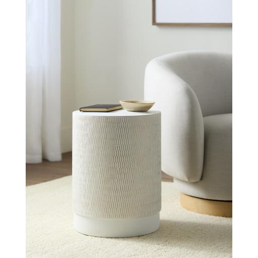 Surya Amenet NEA-003 19"H x 15"W x 15"D Furniture Piece