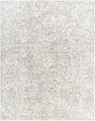 Livabliss Poetry POI-2303 2'7" x 7'3" Machine Woven Rug