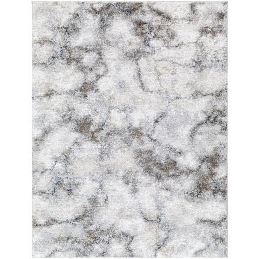 Surya Portofino PTF-2318 8'10" x 12' Rug