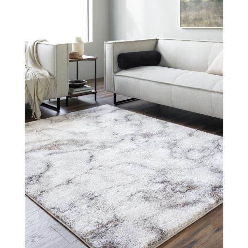 Surya Portofino PTF-2318 8'10" x 12' Rug