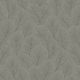 Schumacher Pine Tree Sage Wallpaper