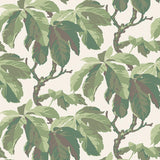 Schumacher Kastanj Leaf Wallpaper