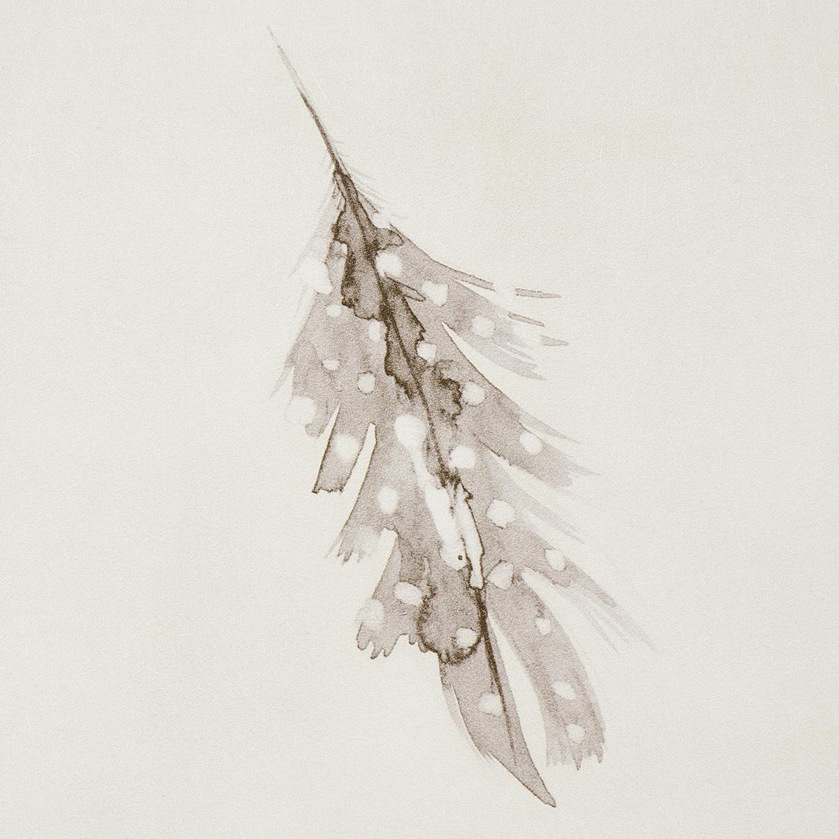Schumacher Woodland Feathers Pebble Wallpaper