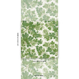 Schumacher Covey Hedge Sage Wallpaper