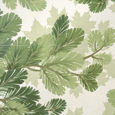 Schumacher Covey Hedge Sage Wallpaper