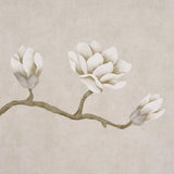 Schumacher Magnolia Tree Grisaille Wallpaper