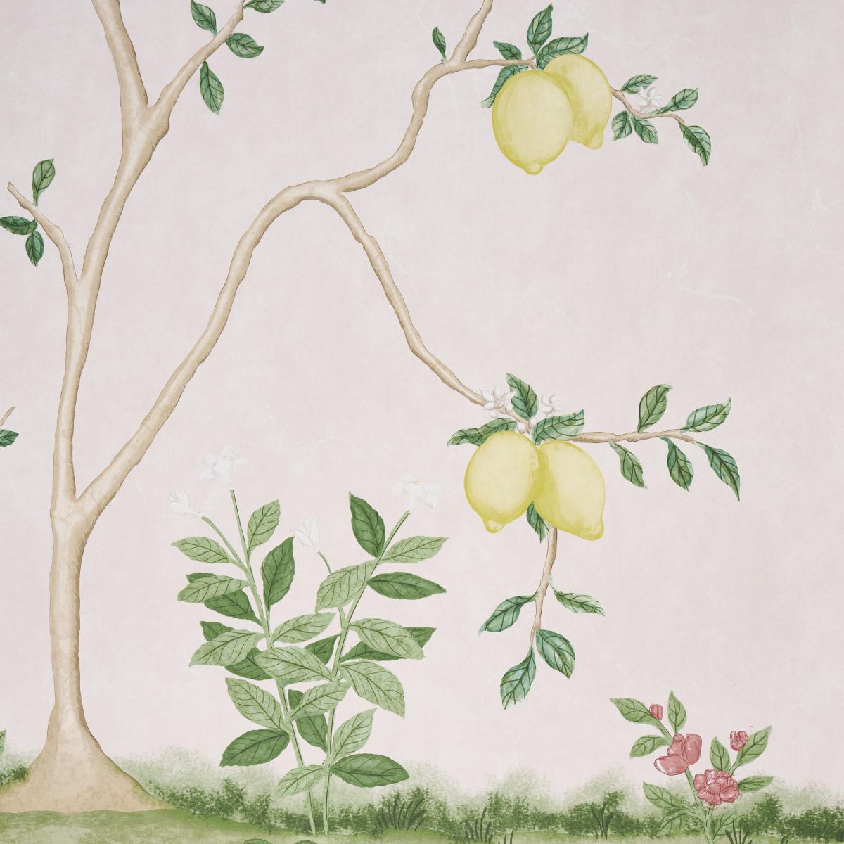 Schumacher Citrus Blossom 2 Panel Set Blush Wallpaper