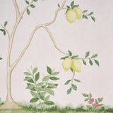 Schumacher Citrus Blossom 2 Panel Set Blush Wallpaper