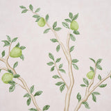 Schumacher Citrus Blossom 2 Panel Set Blush Wallpaper