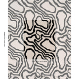 Schumacher Defeo Embroidery Noir Fabric