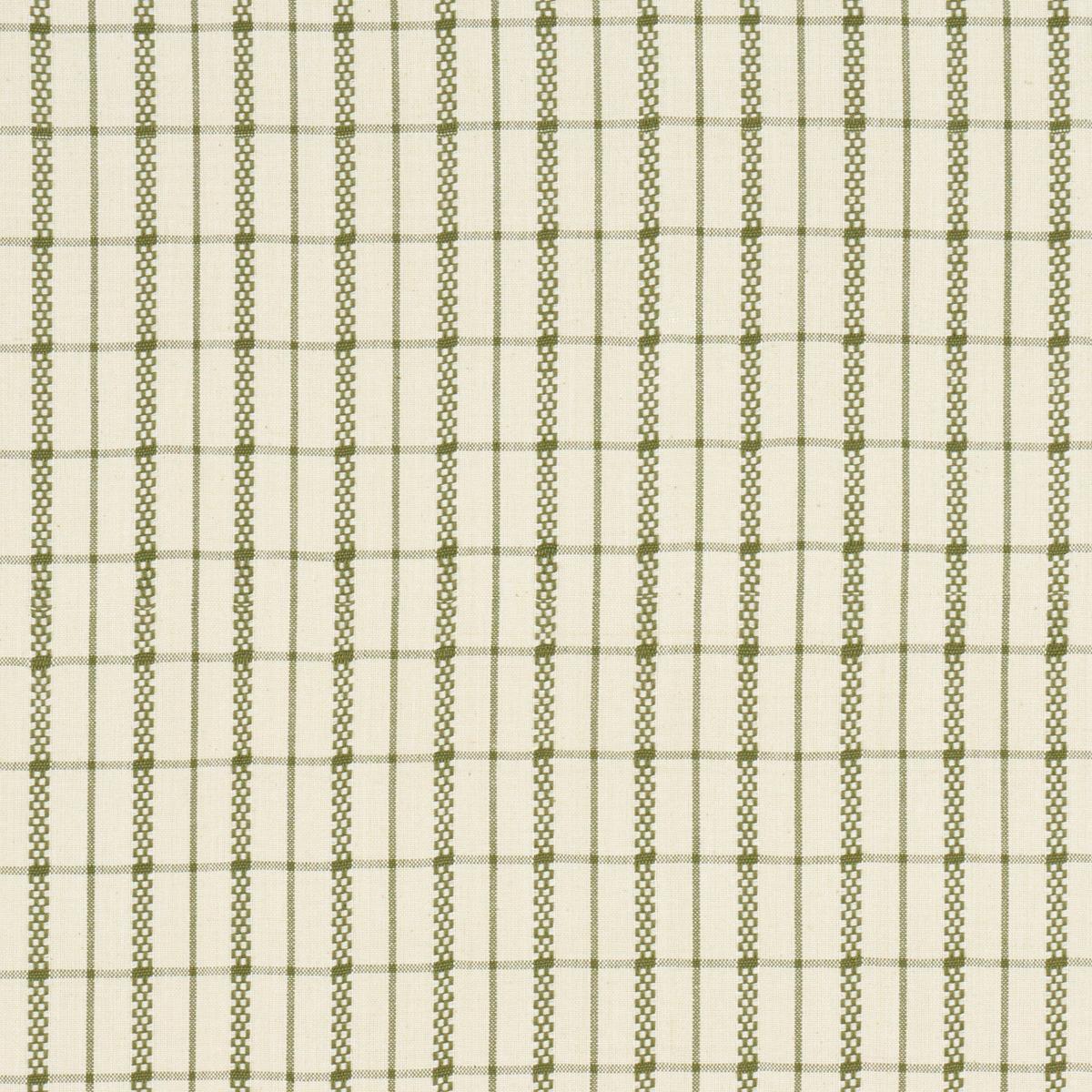Schumacher Boyd Check Moss Fabric