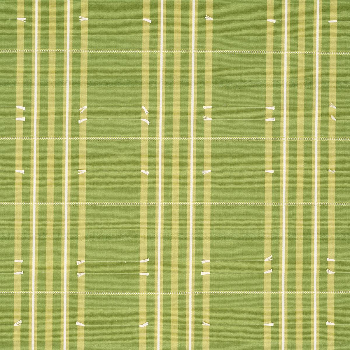 Schumacher Remmy Hand Woven Stripe Leaf Fabric