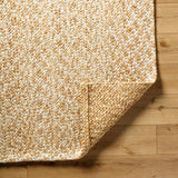 Surya Artesia AEA-2301 10' x 14' Handmade Rug