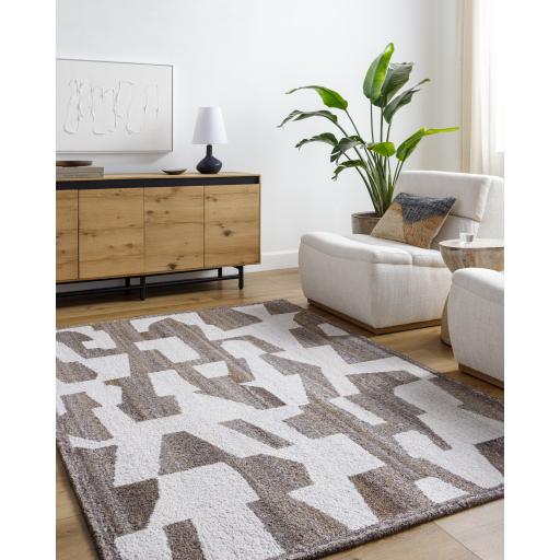 Surya Andes AED-2301 8' x 10' Rug
