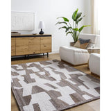 Surya Andes AED-2301 8' x 10' Rug