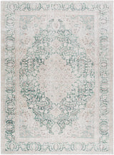 Surya Amelie AML-2393 5'3" x 7'3" Rug