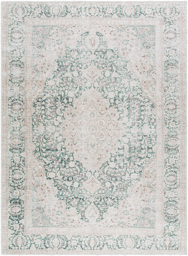 Surya Amelie AML-2393 6'7" x 9' Rug