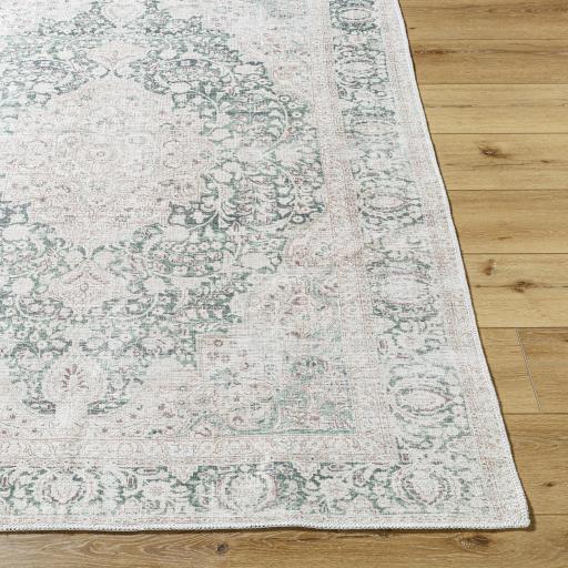 Surya Amelie AML-2393 6'7" x 9' Rug