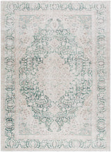 Surya Amelie AML-2393 7'10" x 10'2" Rug