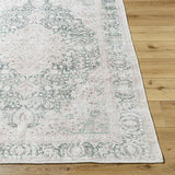 Surya Amelie AML-2393 7'10" x 10'2" Rug