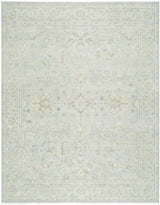 Surya Anelka ANK-2300 2' x 3' Rug