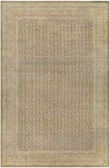 Surya Singular AOOAK-1126 6'7" x 10' Rug