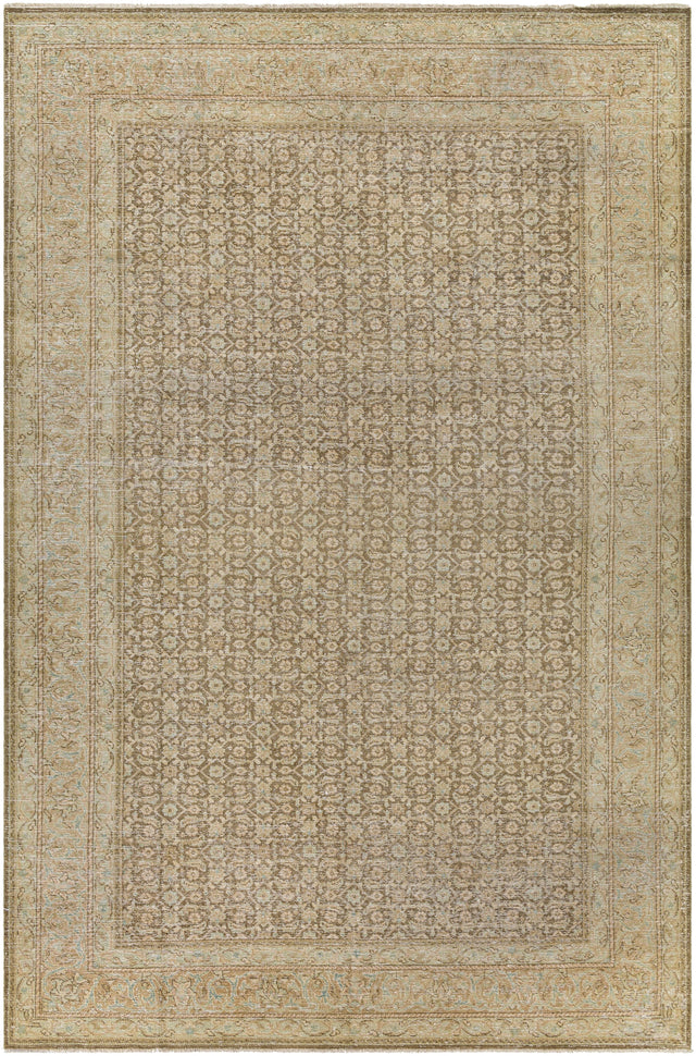 Surya Singular AOOAK-1126 6'7" x 10' Rug