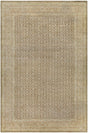 Surya Singular AOOAK-1126 6'7" x 10' Rug