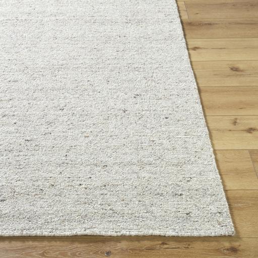 Surya Adrianna ARI-2300 2' x 3' Rug