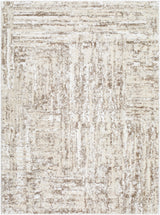 Surya Andorra Plus ARP-2303 2' x 2'11" Rug