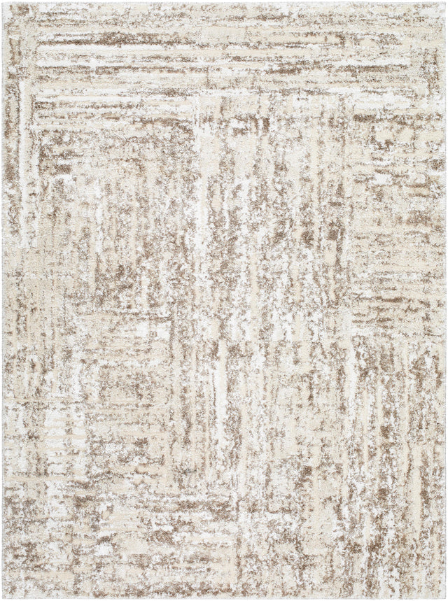 Surya Andorra Plus ARP-2303 2' x 2'11" Rug