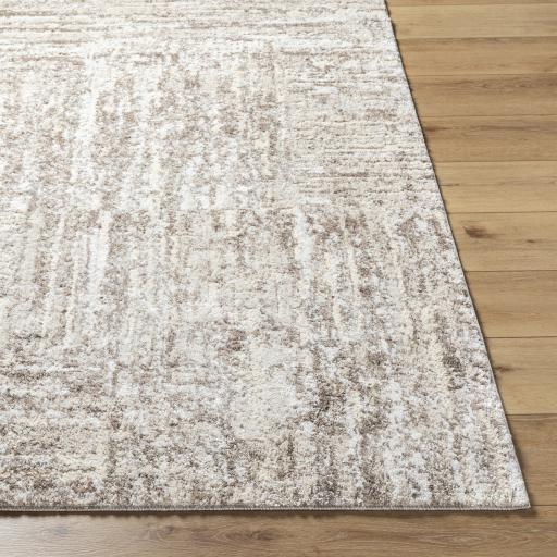 Surya Andorra Plus ARP-2303 2' x 2'11" Rug