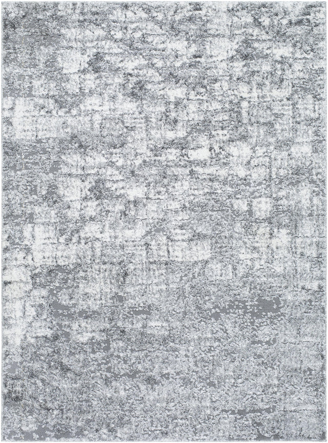 Surya Andorra Plus ARP-2308 5'3" x 7'3" Rug