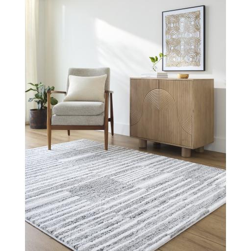 Surya Andorra Plus ARP-2316 2' x 2'11" Rug