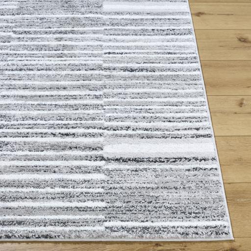 Surya Andorra Plus ARP-2316 2' x 2'11" Rug