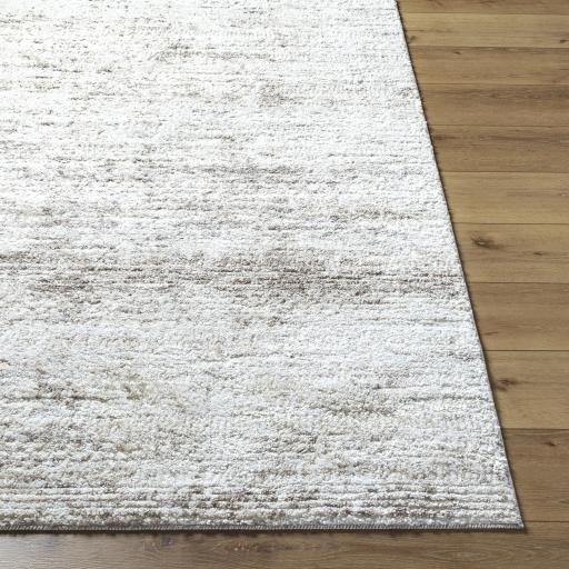 Surya Andorra Plus ARP-2310 2' x 2'11" Rug
