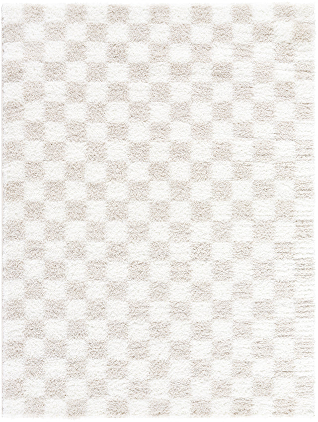 Surya Cloudy Shag CDG-2330 7'10" x 10' Rug
