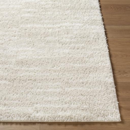 Surya Cloudy Shag CDG-2335 6'7" x 9' Rug