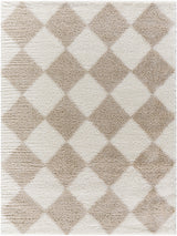 Surya Cloudy Shag CDG-2338 7'10" x 10' Rug