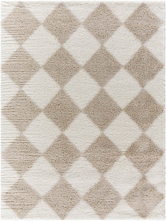 Surya Cloudy Shag CDG-2338 7'10" x 10' Rug