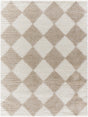 Surya Cloudy Shag CDG-2338 7'10" x 10' Rug