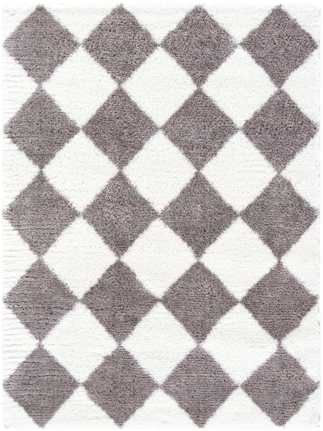 Surya Cloudy Shag CDG-2339 5'3" x 7' Rug