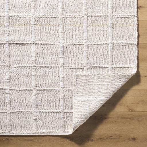 Surya Damon DAM-2300 8' x 10' Rug