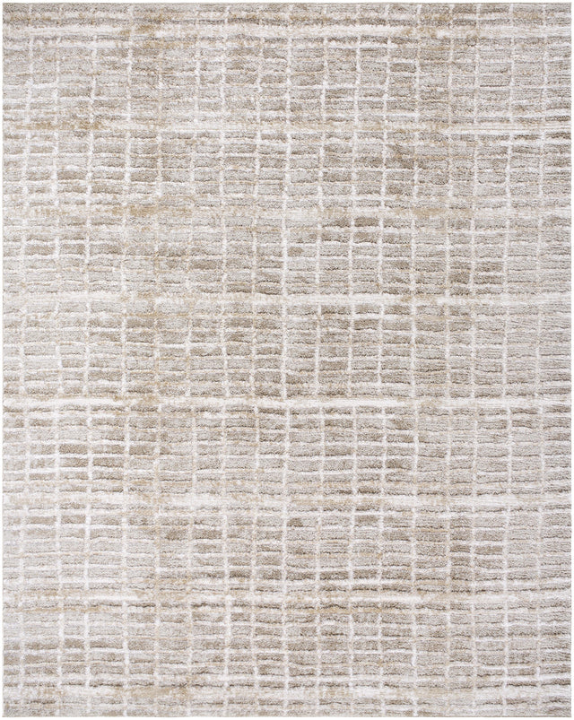 Surya Delight Shag DEL-2305 5'3" x 7' Rug