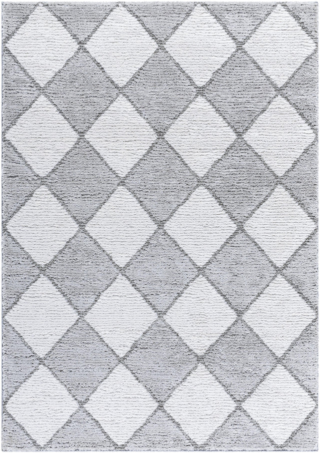 Surya Delight Shag DEL-2307 5'3" x 7' Rug