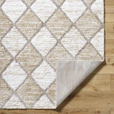 Surya Delight Shag DEL-2306 5'3" x 7' Rug