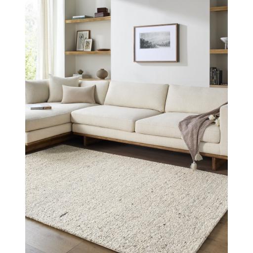 Surya Desire DSE-2302 10' x 14' Rug