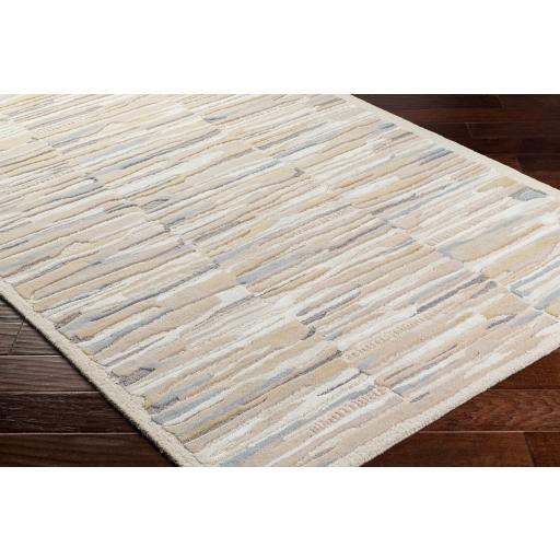 Surya Dreamscape DSP-2300 2' x 3' Rug