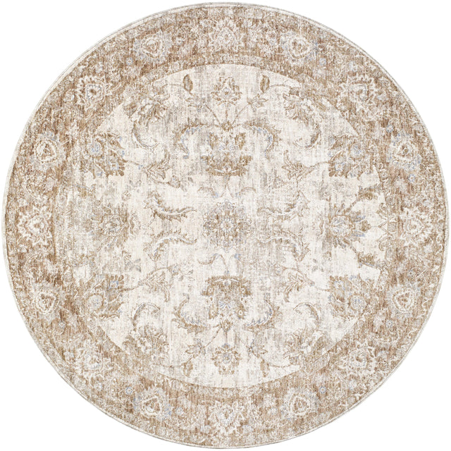 Surya Da Vinci DVC-2302 2'7" x 7'3" Rug