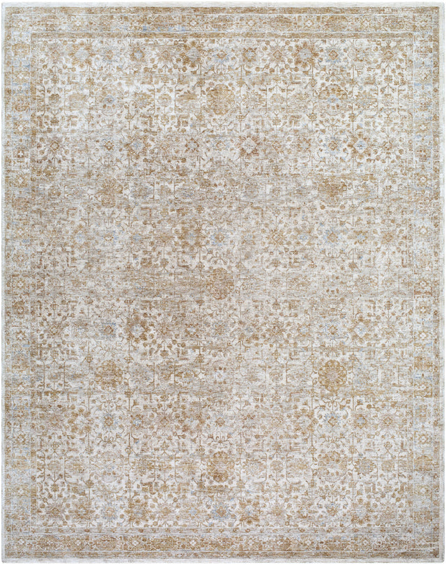 Surya Da Vinci DVC-2306 2'7" x 3'11" Rug